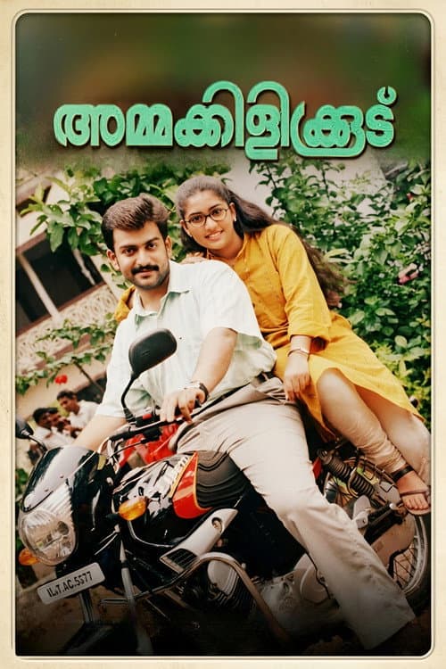 Постер: അമ്മക്കിളികൂട്‌
