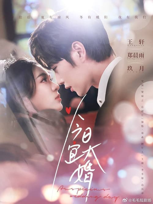 Постер: 今日宜大婚