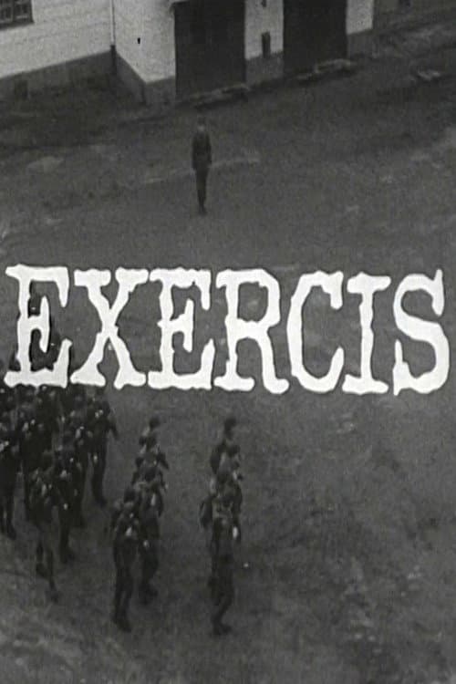 Постер: Exercis