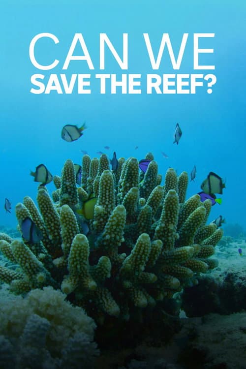 Постер: Can We Save the Reef?