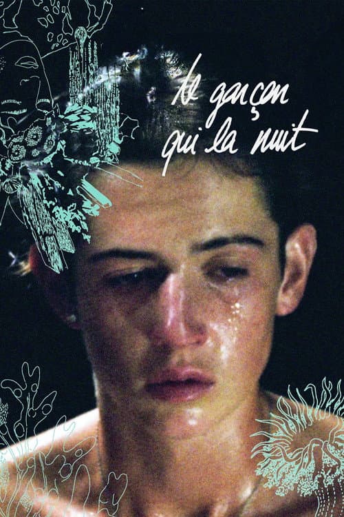 Постер: Le garçon qui la nuit