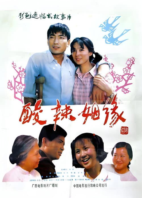 Постер: 酸辣姻缘