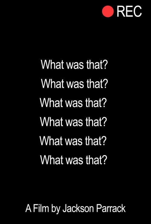 Постер: What Was That?