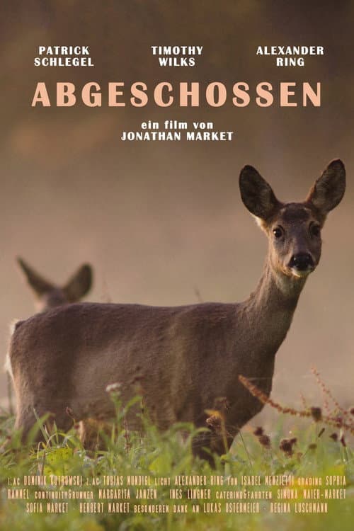 Постер: Abgeschossen