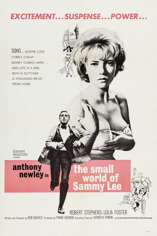 Постер: The Small World of Sammy Lee