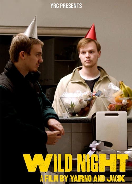 Постер: Wild Night