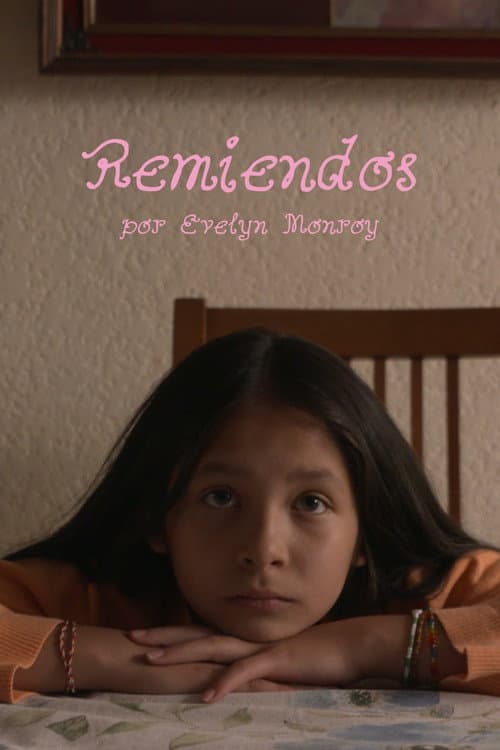 Постер: Remiendos