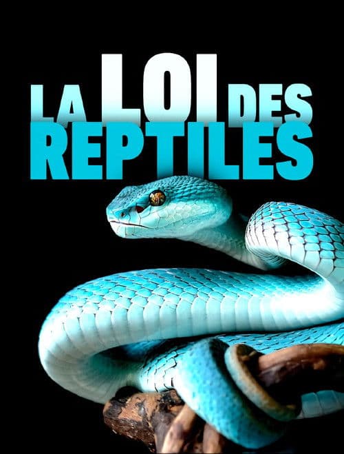 Постер: La loi des reptiles