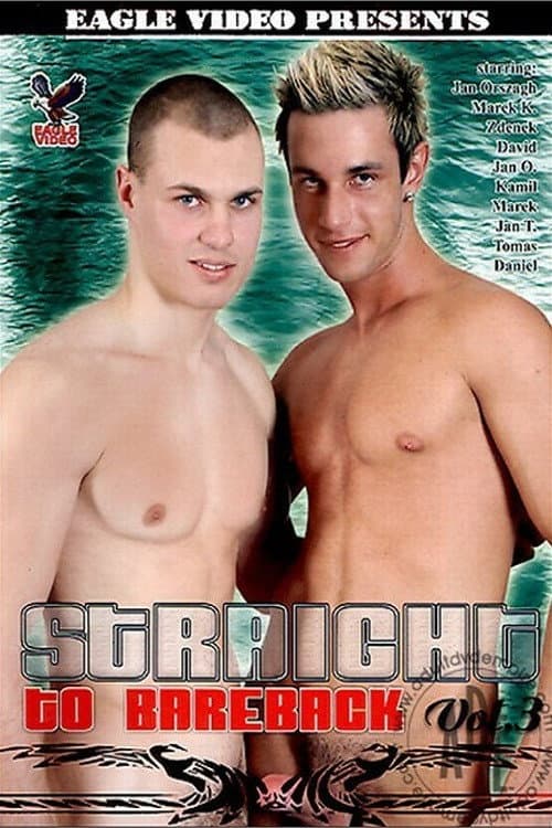 Постер: Straight to Bareback 3