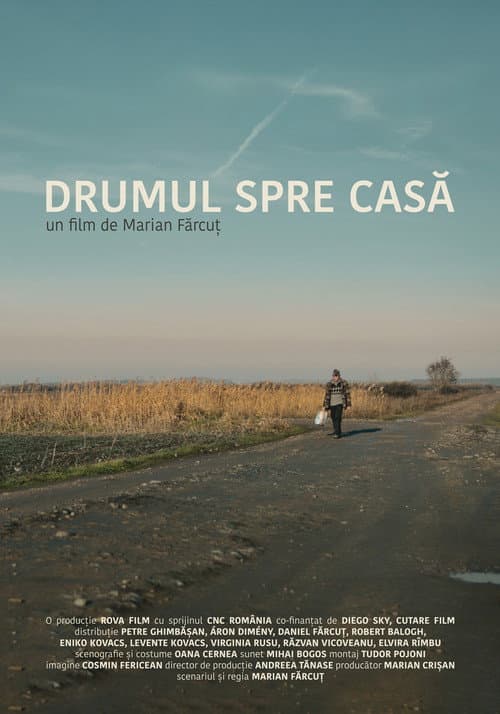 Постер: Drumul spre casă