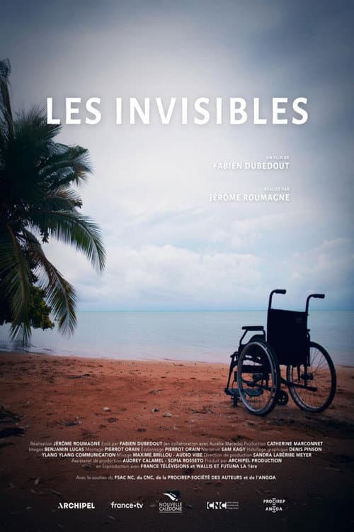 Постер: Les Invisibles