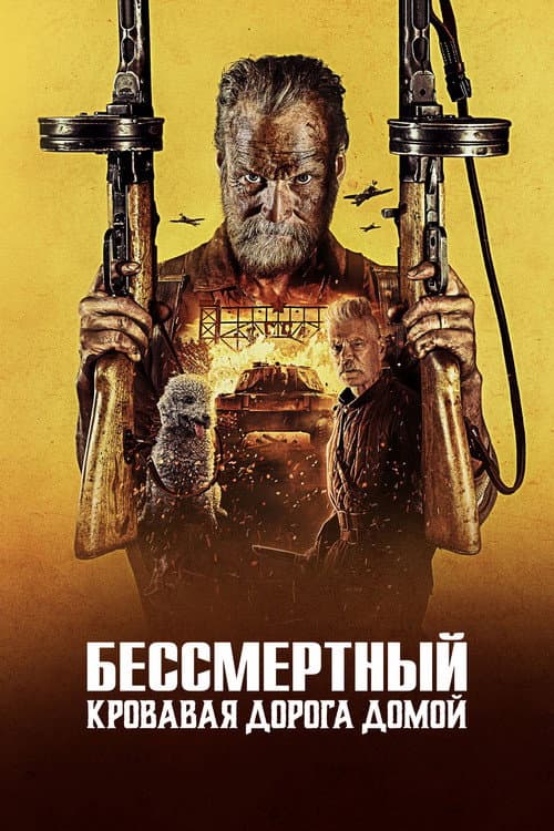 Постер 5
