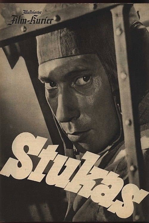 Постер: Stukas