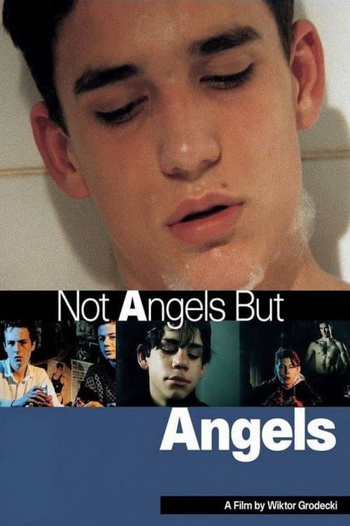 Постер: Andělé nejsou andělé