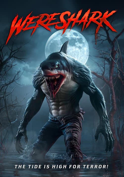 Постер: Wereshark