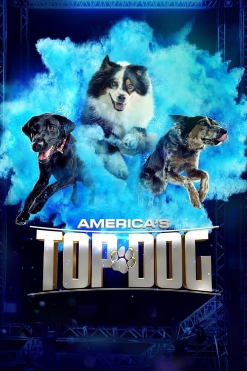 Постер: America's Top Dog