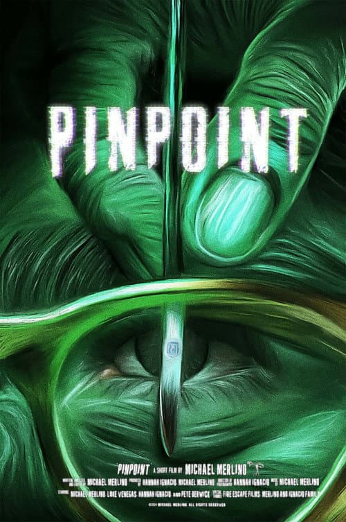 Постер: PINPOINT