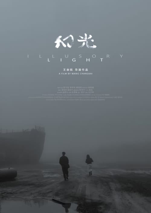 Постер: Illusory Light