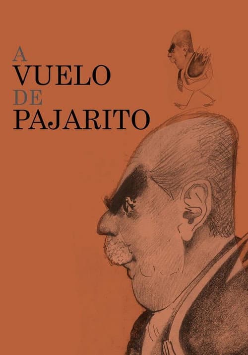 Постер: A vuelo de pajarito