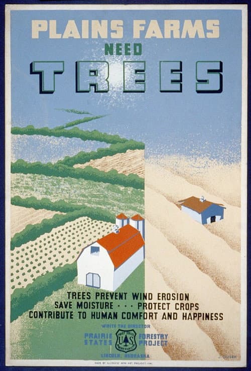 Постер: Windbreaks on the Prairies
