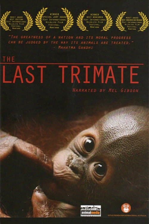 Постер: The Last Trimate