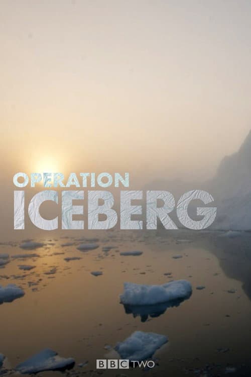 Постер: Operation Iceberg