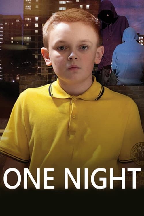 Постер: One Night