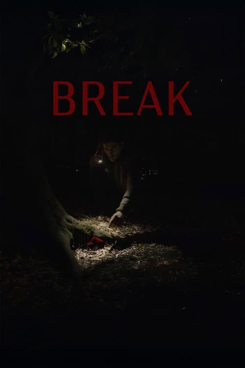 Постер: Break