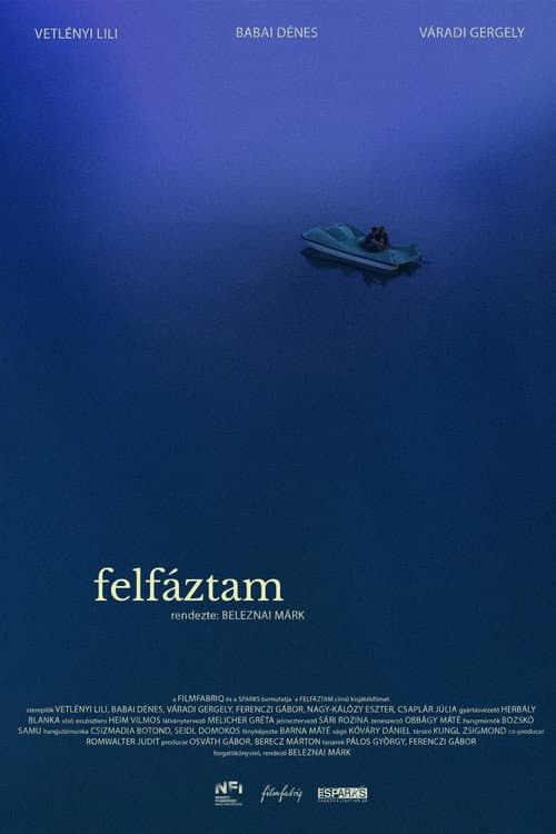 Постер: Felfáztam