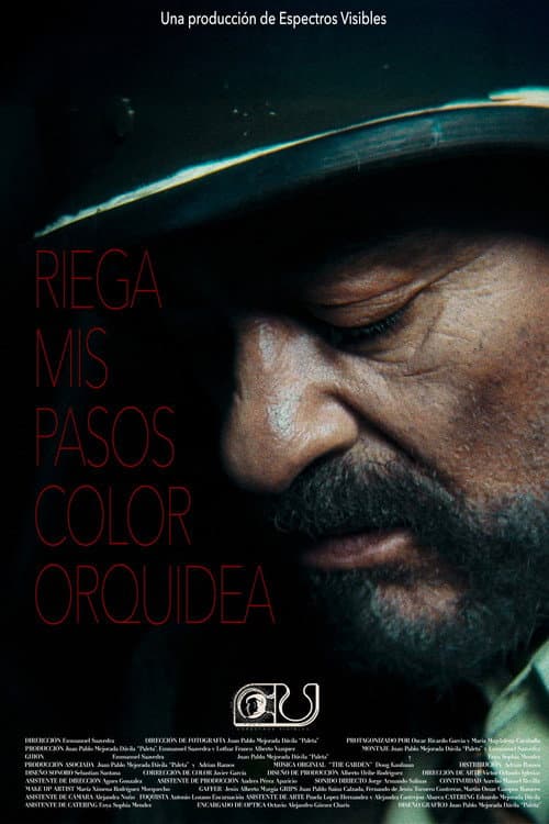 Постер: Riega Mis Pasos Color Orquidea