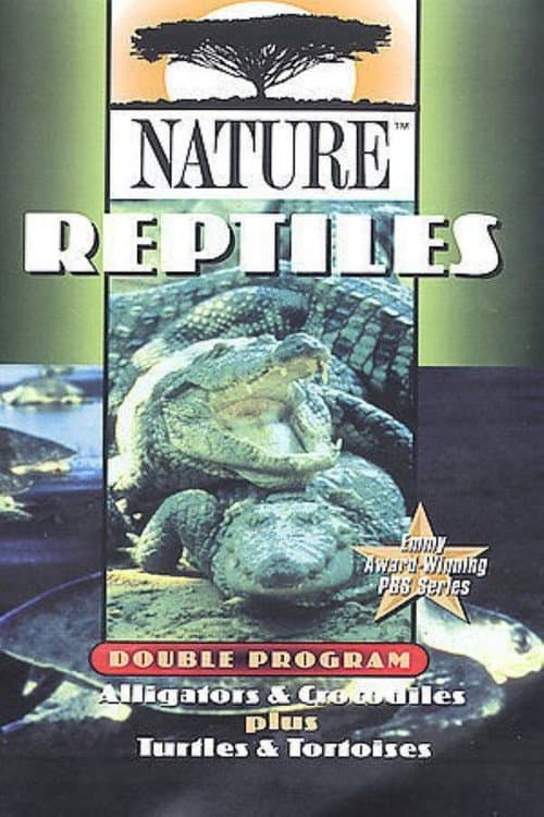 Постер: The Reptiles: Alligators & Crocodiles