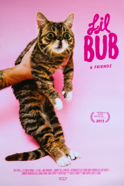 Постер: Lil Bub & Friendz