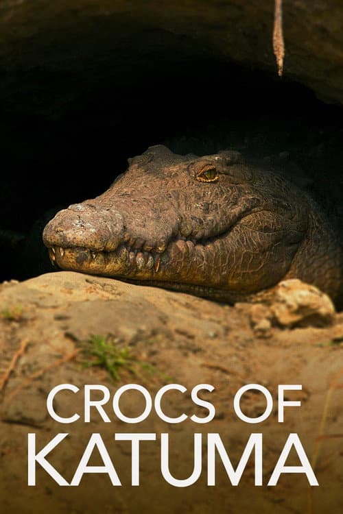 Постер: Crocs of Katuma
