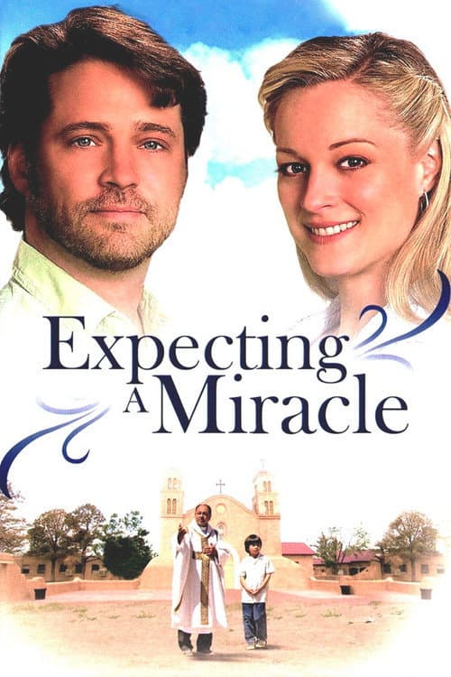 Постер: Expecting a Miracle