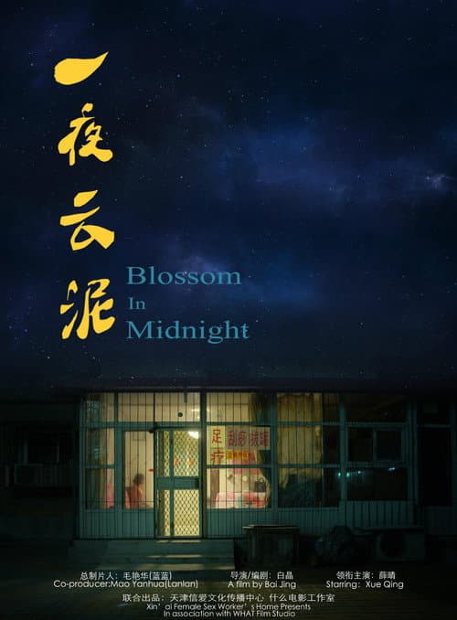 Постер: 一夜云泥