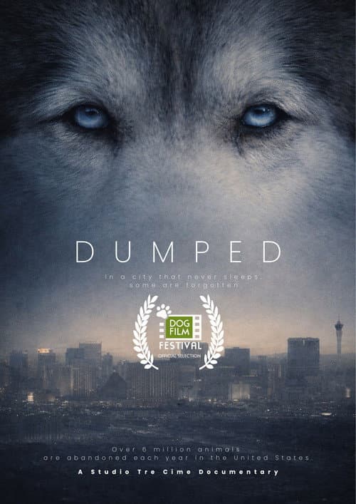 Постер: Dumped