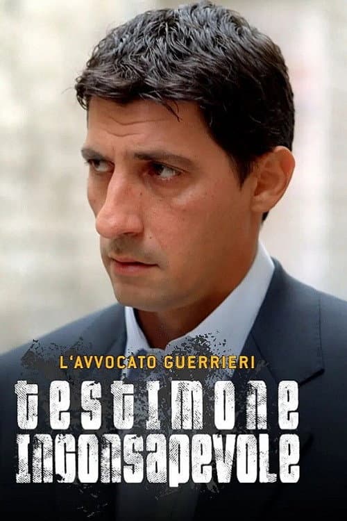 Постер: L'avvocato Guerrieri