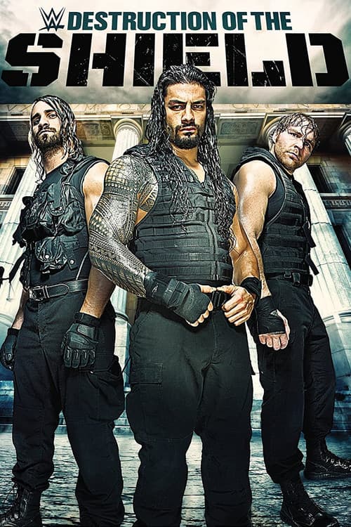 Постер: The Destruction of The Shield