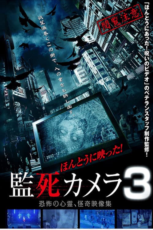 Постер: ほんとうに映った!監死カメラ 3