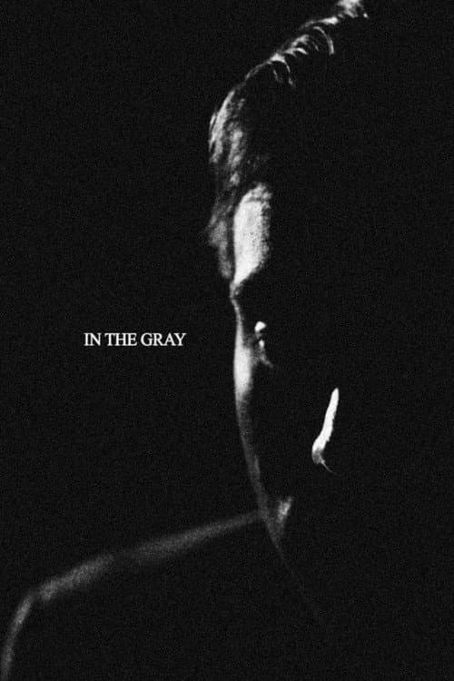 Постер: In the Gray