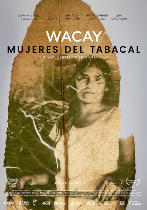 Постер: Wacay, mujeres del tabacal