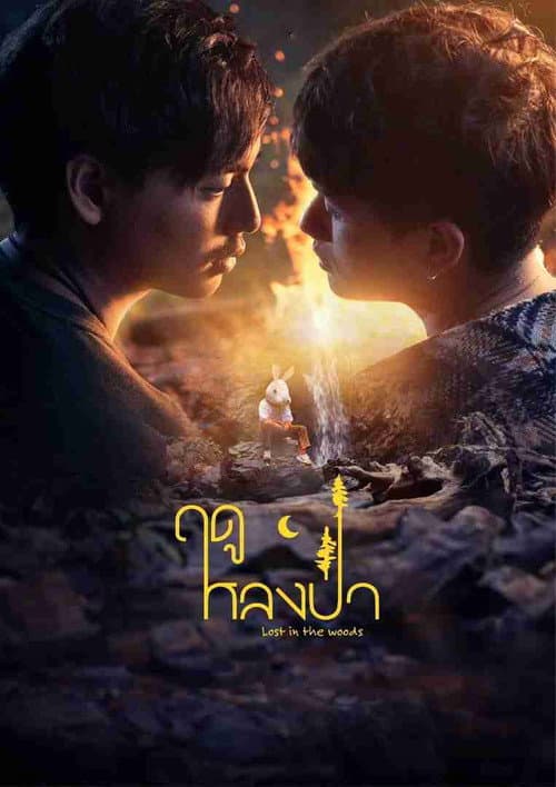 Постер: ฤดูหลงป่า