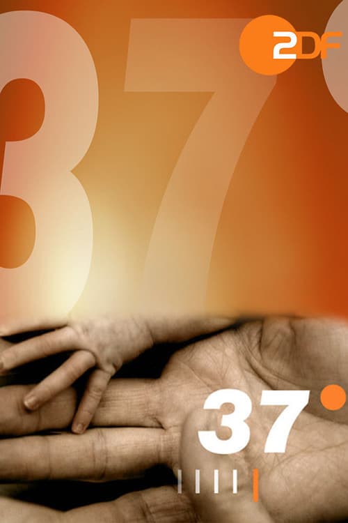 Постер: 37 Grad