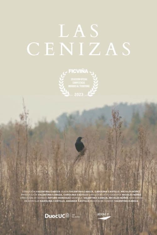 Постер: Las Cenizas