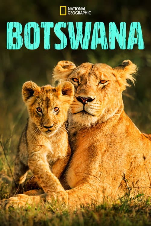 Постер: Botswana