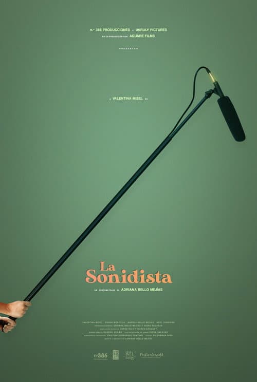 Постер: La Sonidista