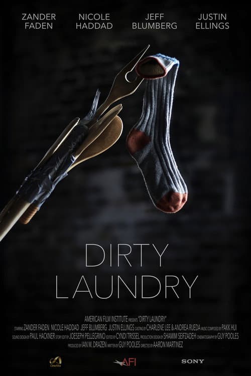 Постер: Dirty Laundry