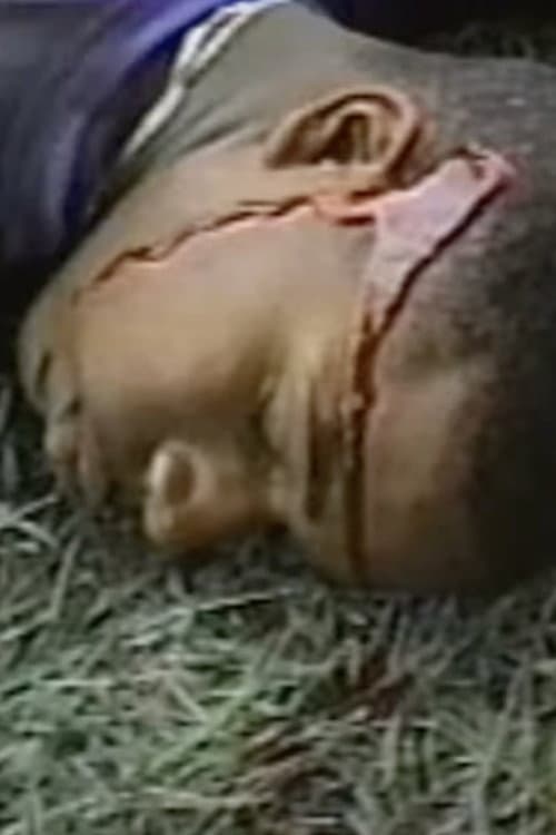 Постер: CHS-TV: Murder was the Case