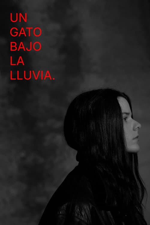 Постер: Un gato bajo la lluvia.
