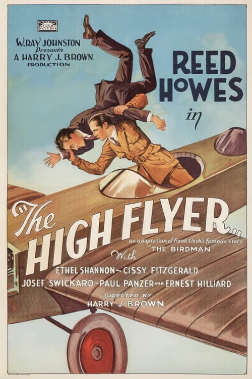 Постер: The High Flyer